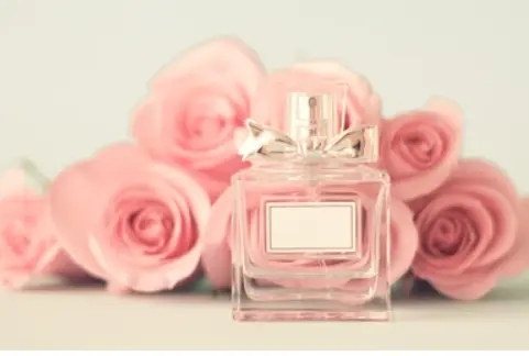 Pink Rose